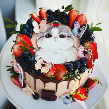 Торт "Котенок" купить - рубцовск.сладкоежкин.рф